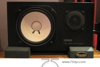 Enlarged view of image